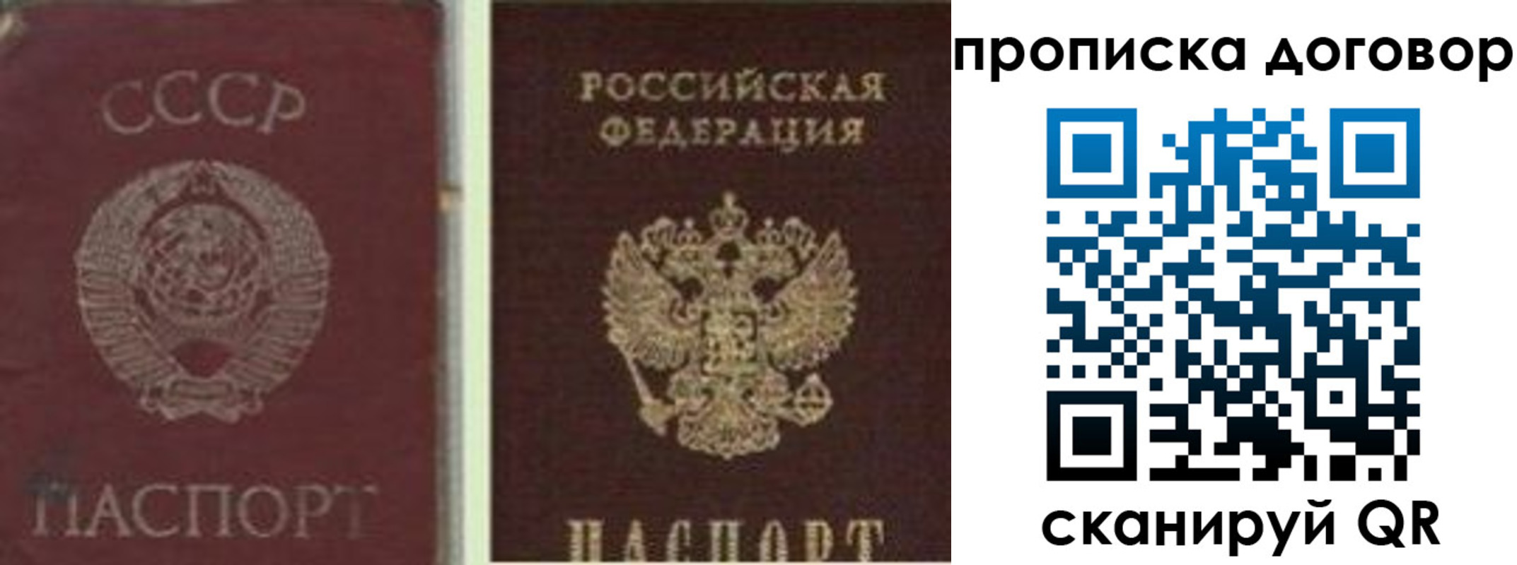 прописка гарантия в Алтайском крае